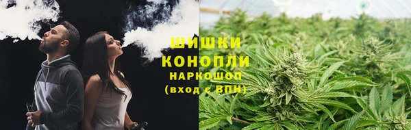 твердый Бородино