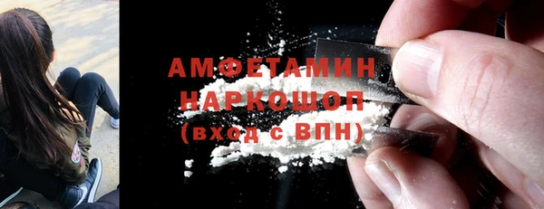 твердый Бородино