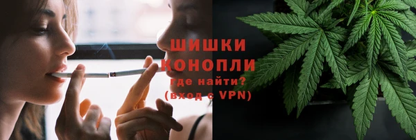 твердый Бородино