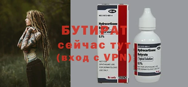 твердый Бородино