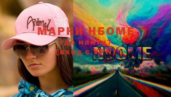 твердый Бородино